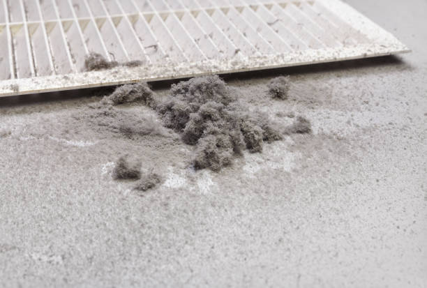 Best General Air Duct Cleaning  in Garrison, TX