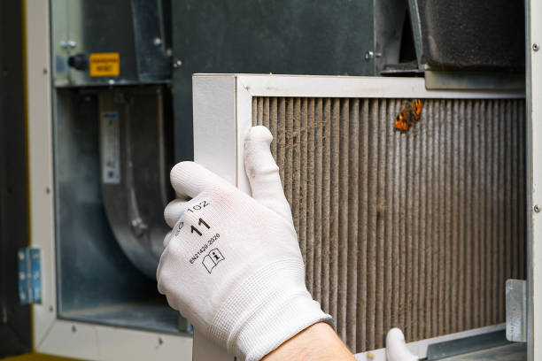Best Best Air Duct Cleaning Company  in Garrison, TX