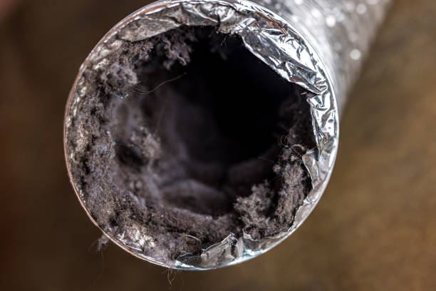 Best Affordable Duct Cleaning Services  in Garrison, TX